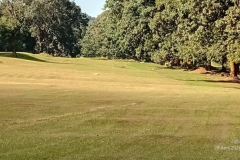 IMG_0103-768x432-1